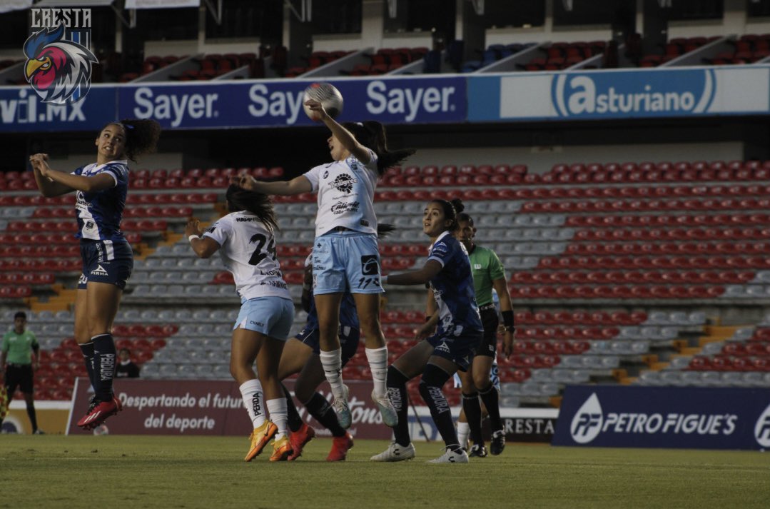 Cresta_Oficial's tweet photo. #Crestacam @GallosFemenil 3 🆚 Puebla
Fotografías @AlERXRob
#OrgulloDeGallo #TeamCresta #siempregallos🐔 https://t.co/UIEVnZBsub