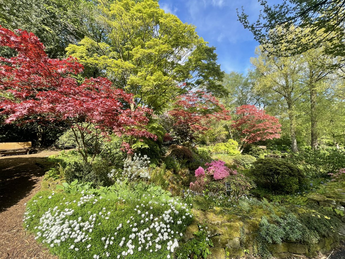 Beauty in Birmingham