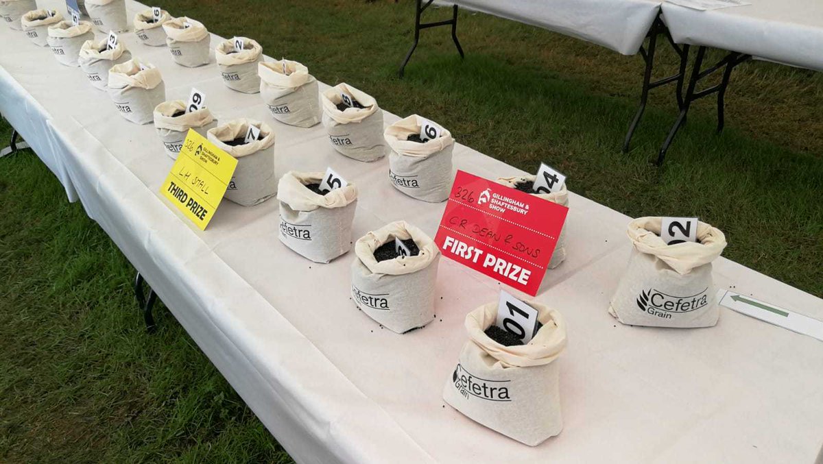 Cefetra's tweet photo. Grain classes at the Gillingham and Shaftesbury show - sponsored and organised by us. Judged by Mr Robin Webb.
Well done to all the winners 🏆
#farmingevent #grain #ukfarming https://t.co/QdBIKf8IEC