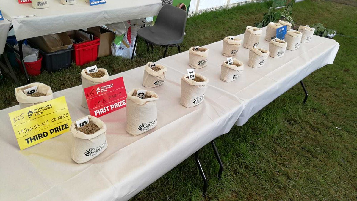Cefetra's tweet photo. Grain classes at the Gillingham and Shaftesbury show - sponsored and organised by us. Judged by Mr Robin Webb.
Well done to all the winners 🏆
#farmingevent #grain #ukfarming https://t.co/QdBIKf8IEC