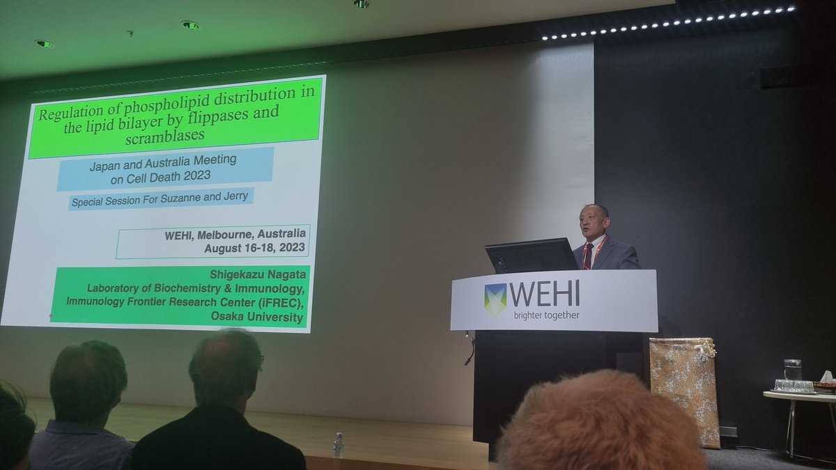 Dilara C. Ozkocak (@dcozkocak) on Twitter photo Always a pleasure to listen to Professor Shige Nagata present his amazing work on phospholipid flippases and scramblases ! #JAM2023 <a href="/AusCellDeathSoc/">Australasian Cell Death Society</a> Always a pleasure to listen to Professor Shige Nagata present his amazing work on phospholipid flippases and scramblases ! #JAM2023 <a href="/AusCellDeathSoc/">Australasian Cell Death Society</a>