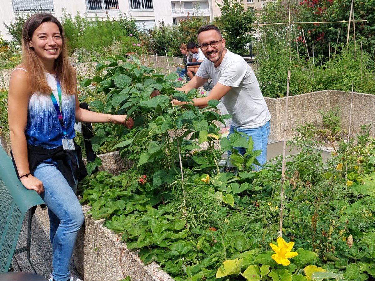 Nolwenn Jouvenet Lab tweet media