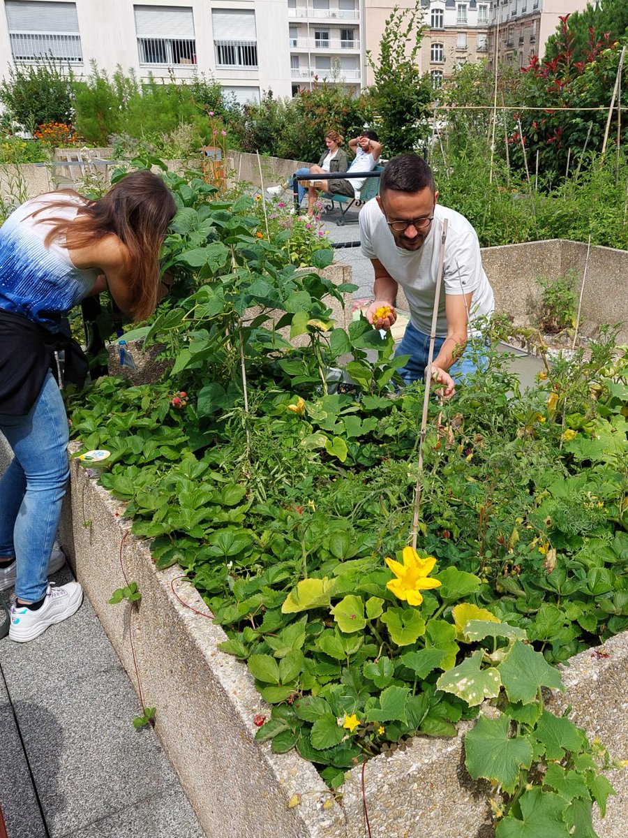 Nolwenn Jouvenet Lab tweet media