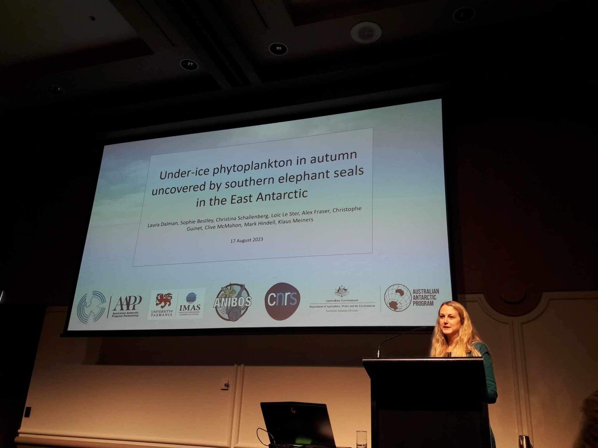 Presented some current PhD work at the  #SOOSSymposium2023 on searching for phytoplankton under the sea ice using tagged southern elephant seals!