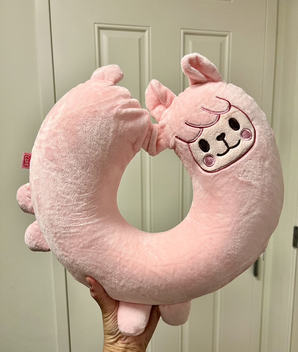 rinicakez's tweet photo. Alpaca neck pillows have arrived!! The pink ones are so cute in person 🥰🦙 Thanks @GaoPengToys 💕 https://t.co/LRMvGiO727