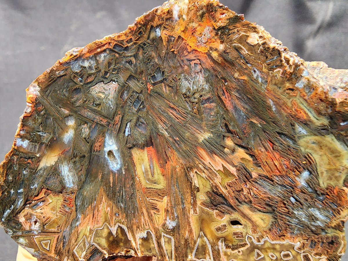 Sagenite agate pair - Abstrac art
ebay.com/itm/1260177956…

#agate #achate #sageniteagate #tubeagate #stickagate #gemstones #crystals #lapidary #collector #Collectibles #art #minerals #jewelrymaking