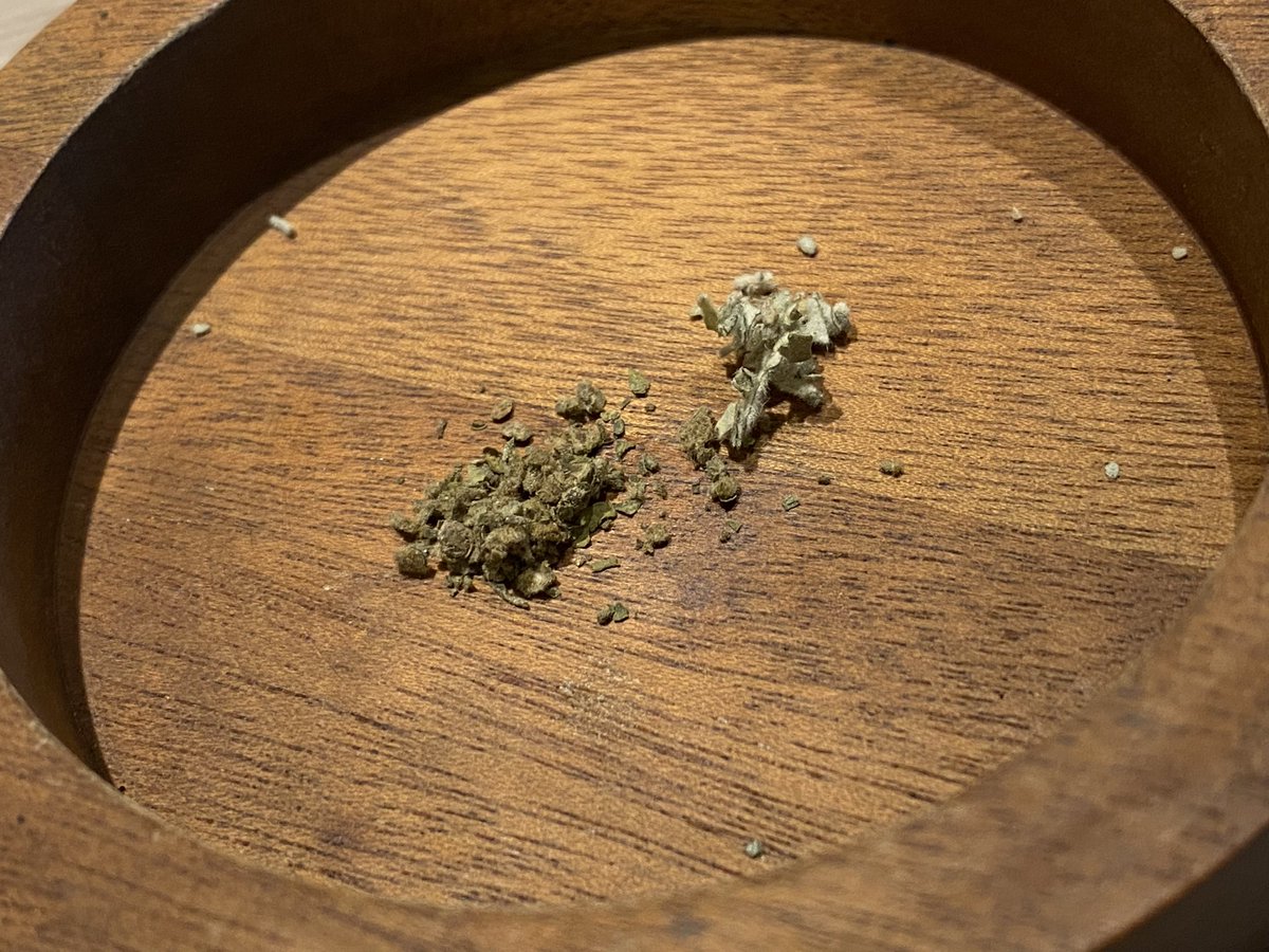 CTHRAG_YASKA's tweet photo. ちょいと足を伸ばして、恵比寿へ。
来ましたよ、VapeMania CBD Dispensary Lounge 恵比寿!
CBDなコーラをいただきながら、麻皇、
ExtraStrongを燻らせる。٩( 'ω' )و
四枚目、どっちが麻皇でどっちがExtraStrongでしょう?
#VapeMania
#CBDDispensaryLounge恵比寿店
#麻皇
#ExtraStrong https://t.co/ySLEK3p60W