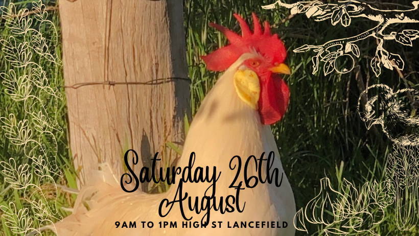 LancefieldDistrictFM tweet media