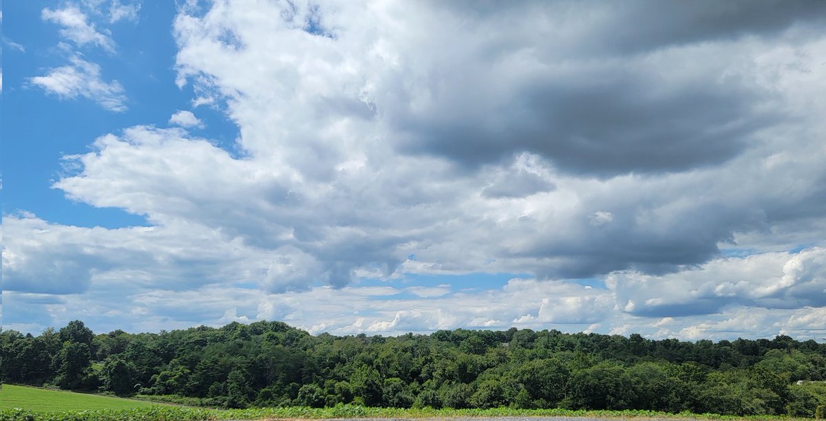 #BlueSkies #MD #MotherNatureArt #Maryland