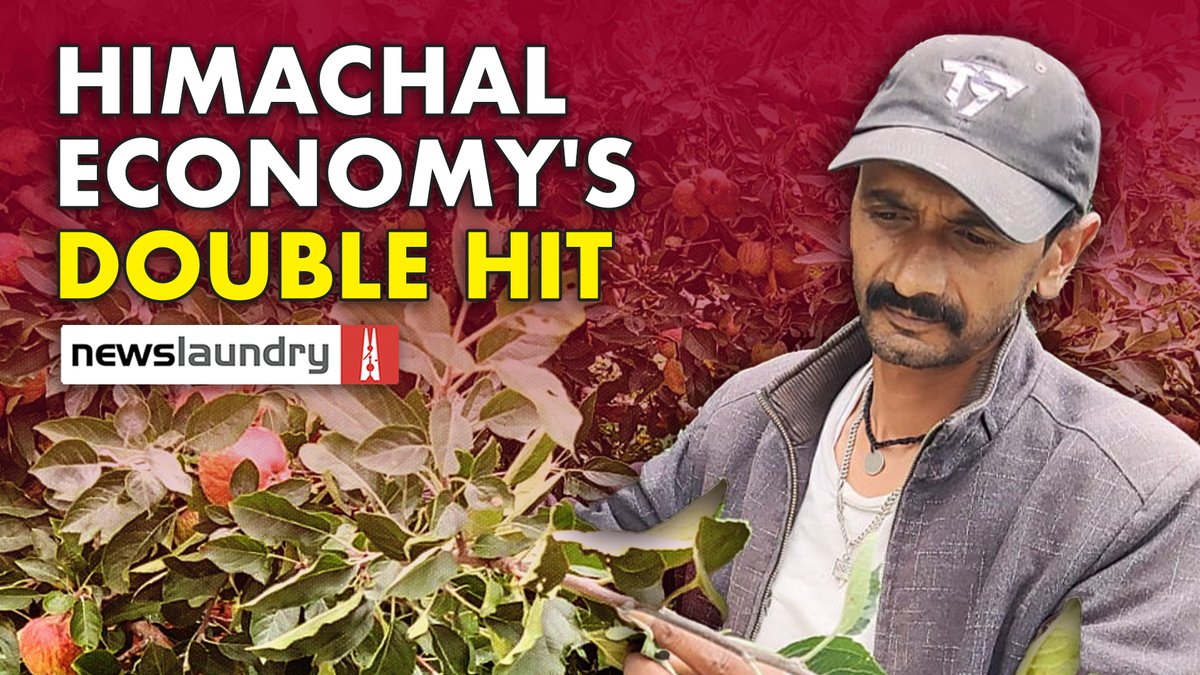 VIDEO -  Double hit of Himachal's Economy
‘Hit worse than Covid’: Despair shrouds Himachal’s orchards and hotels after flood
youtube.com/watch?v=BvISML… 
#NLSena project on #HimachalDisaster @newslaundry @nlhindi