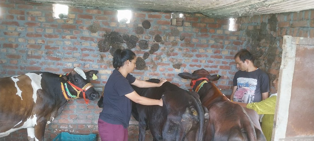 DairyvikasRpg's tweet photo. Ncdc animal treatment and milk collection in khakra &amp; pipli rudraprag https://t.co/LfAkxCzYAt