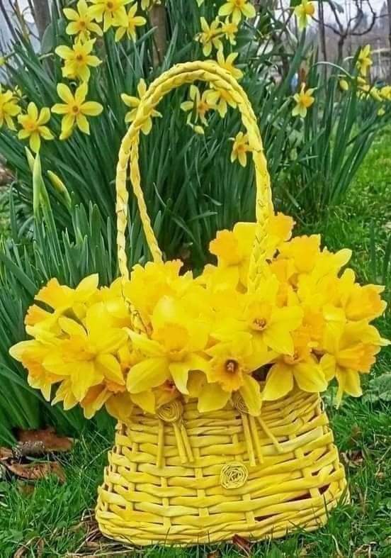 Bgduram.sen.78 (@78gimallecome) on Twitter photo 