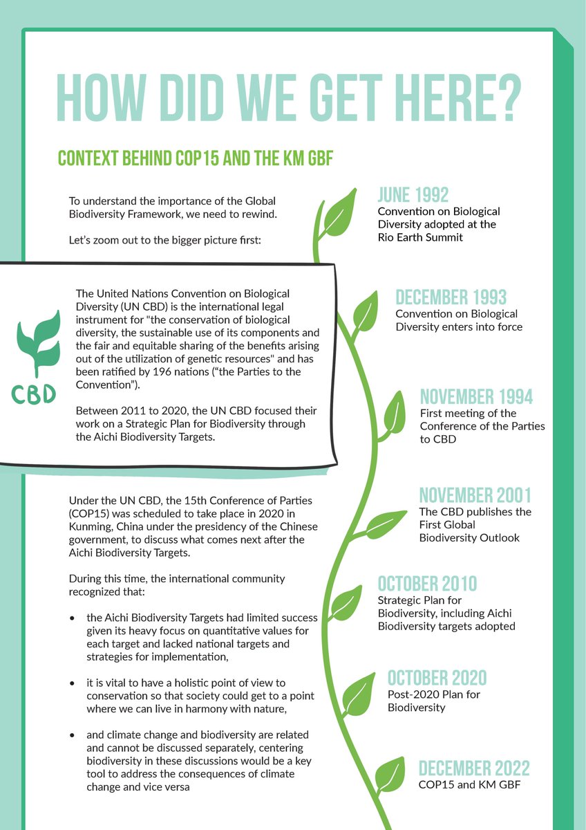 Y4Nature's tweet photo. 🌍Y4N proudly presents an illustrated report on the Kunming- Montreal Global Biodiversity Framework for our youth community 📃
👀Read the full report: https://t.co/w0GRVbiLcv
#knowledgesharing #biodiversityframework #post2020
@GYBN_CBD @CBD_COP15
Graphics @ManuelRecker https://t.co/3vA630OMxA