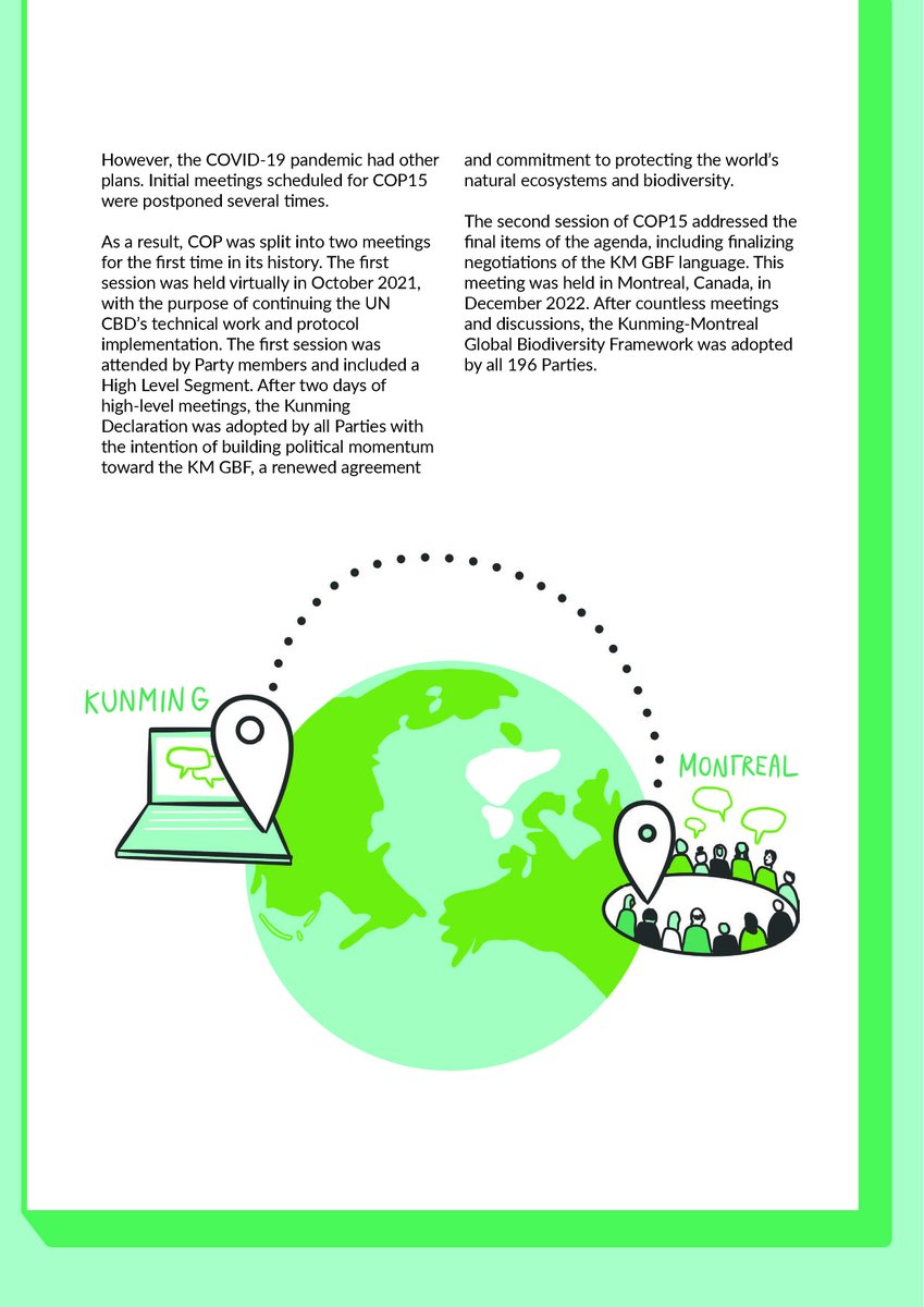 Y4Nature's tweet photo. 🌍Y4N proudly presents an illustrated report on the Kunming- Montreal Global Biodiversity Framework for our youth community 📃
👀Read the full report: https://t.co/w0GRVbiLcv
#knowledgesharing #biodiversityframework #post2020
@GYBN_CBD @CBD_COP15
Graphics @ManuelRecker https://t.co/3vA630OMxA