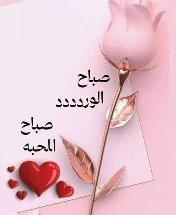 ‏عـبـيـر 🥰 tweet media
