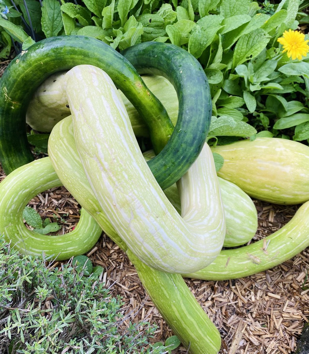 Sauber kalibriert.
💚