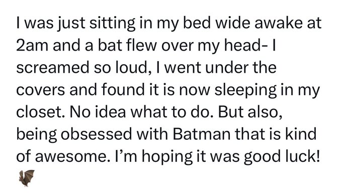 I hope this is good luck but also need help to figure out how to safely get the Bat out! 🦇 https://t<a href="/tag/thewomaninthehouse"class="tags"><span>#thewomaninthehouse</span></a>