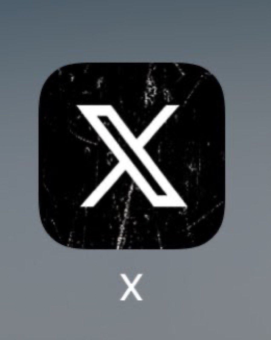 まさか！鳥が帰ってくるのか！