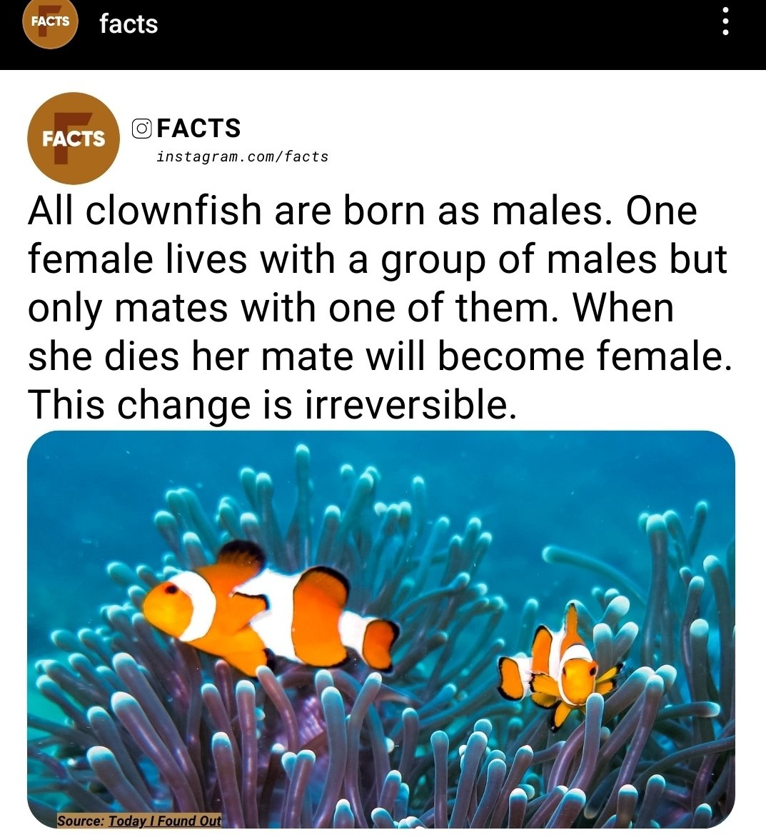 Don't let the #GOP find out. Next thing you will hear is that Clownfish Groom Children, and then Clown Fish will be banned in schools and #RedStates #FindingNemo