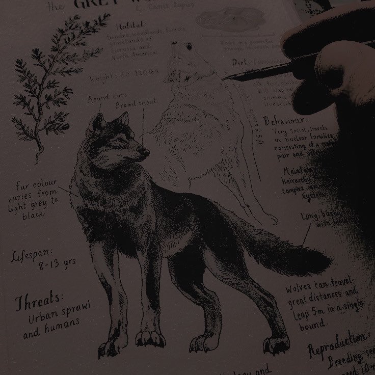 𝐑. 𝐉. 𝐋𝐔𝐏𝐈𝐍 tweet media