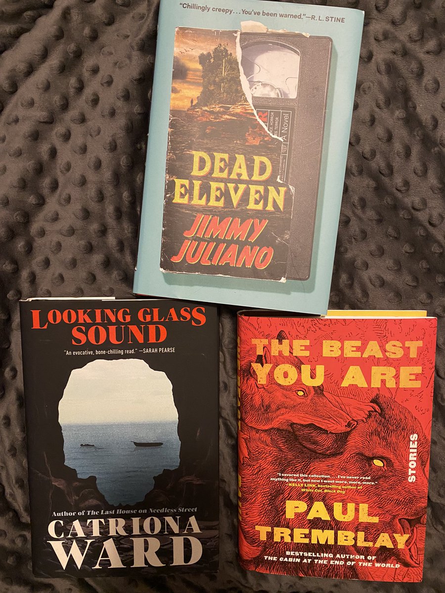 I hate going into Barnes & Noble for 1 book and coming out with 3… I lied. I don’t hate doing that. The latest acquisitions after a long hiatus of purchasing new books. @paulgtremblay @Catrionaward @JimmyRJuliano #TheBeastYouAre #LookingGlassSound #DeadEleven #HorrorBooks
