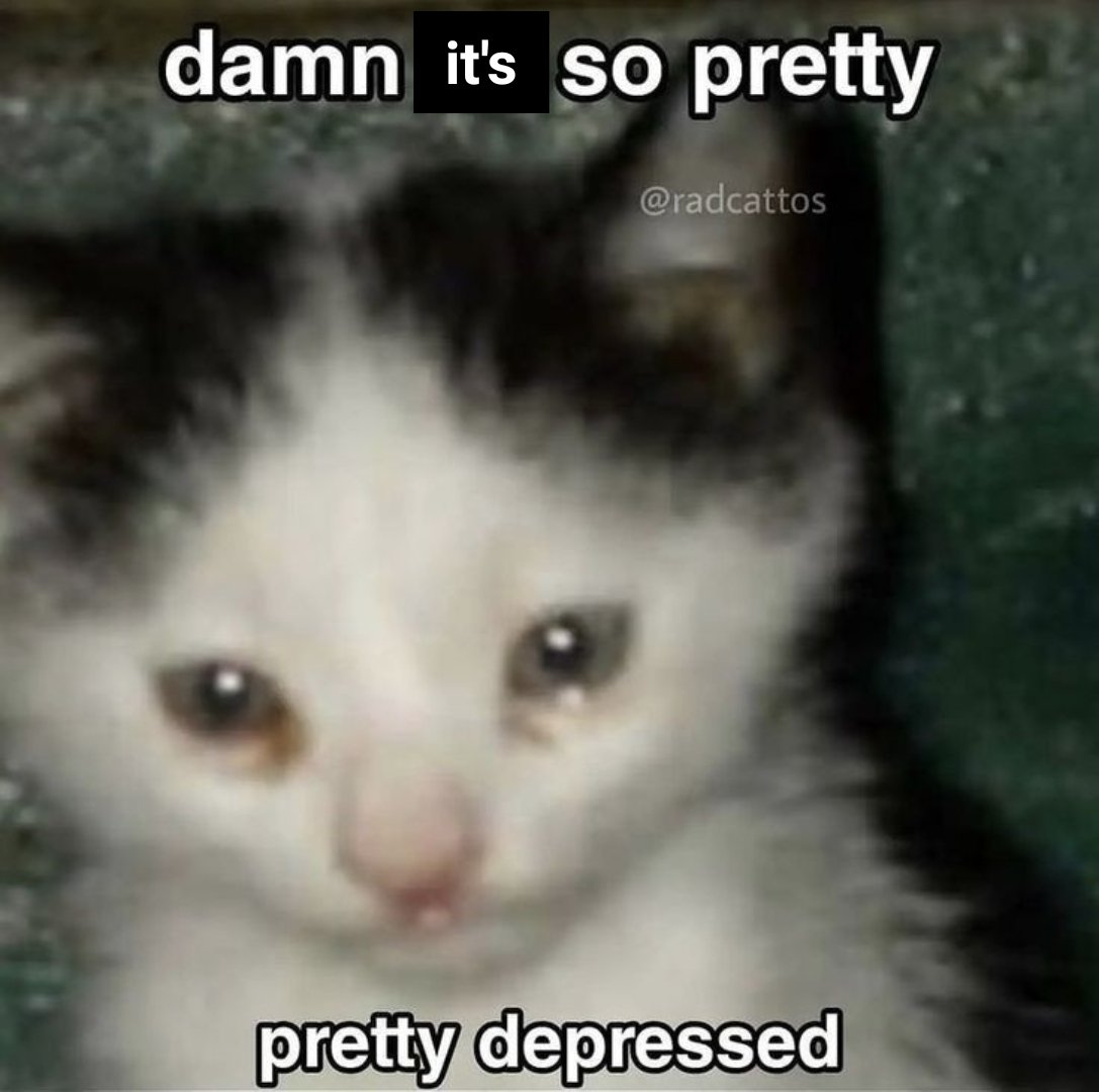 bentosummer's tweet image. 