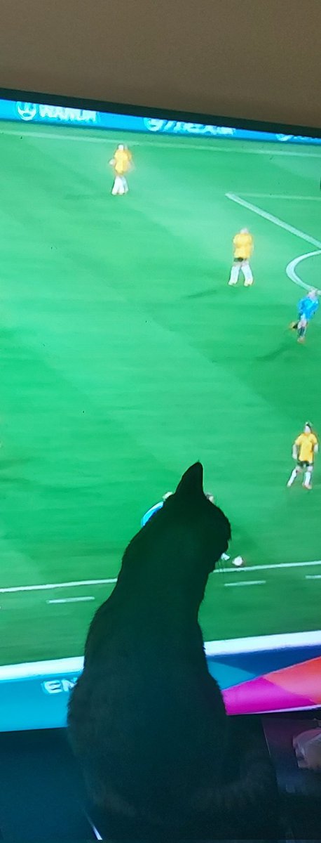 MextraordinaryC's tweet photo. Great game Matildas.  Ernest also enjoyed the game, but was ejected from the game after getting a red flag for smaking the players... https://t.co/TDKvsN3yce
