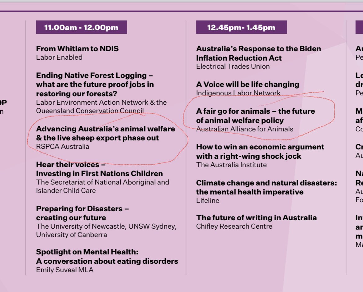 Gillian Fennell tweet media