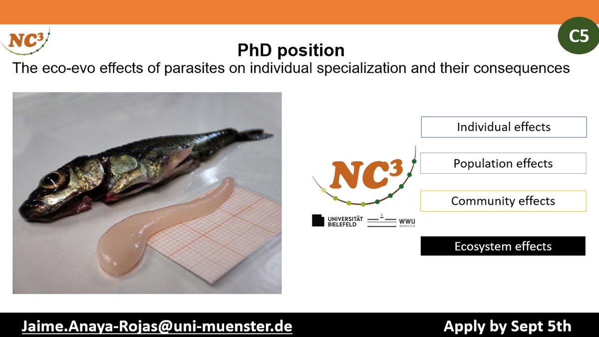 📢 PhD Position Reopened! Dive into the intriguing world of manipulative parasites & explore their ecological and evolutionary impacts. 🌍  Join our dynamic team in Münster, Germany 🇩🇪 ! 🍃 #PhDopportunity #Behaviour2023 #ScienceInGermany #EvoEco @2023Behaviour