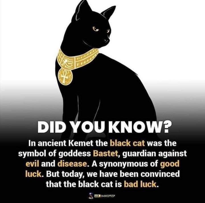 #BlackCatAppreciationDay