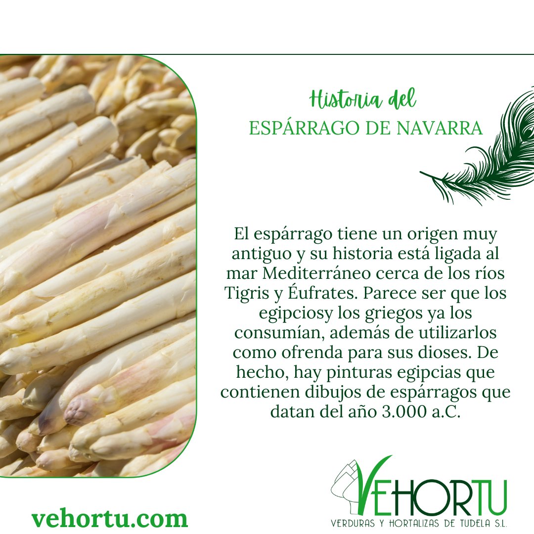 vehortu's tweet photo. Nacimos en una región privilegiada, cuna de una de las mejores huertas del mundo📍 #EspárragodeNavarra

🌐 https://t.co/HIo04wsa98

#VerdurasdeNavarra #Vehortu #esparragodenavarra #esparragos #esparragosblancos https://t.co/O4aA8vba2F