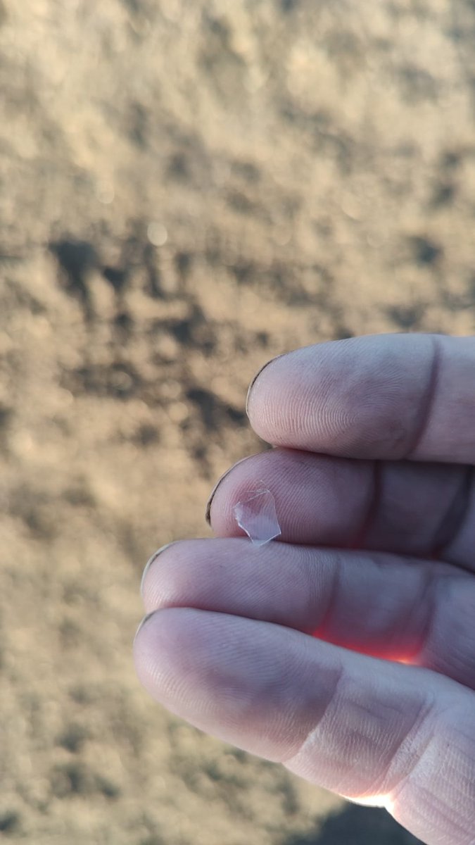 Roger van Hoven tweet media