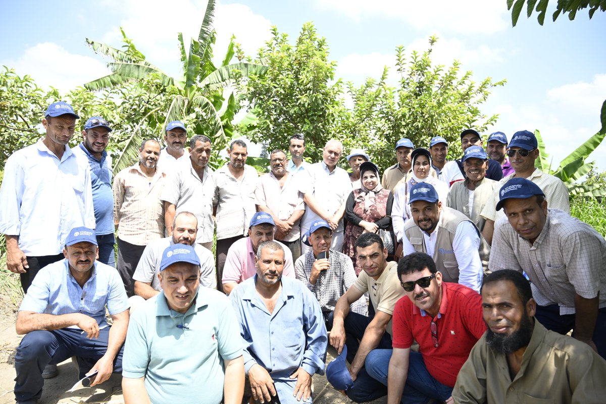 FAOEgypt's tweet photo. Under the @FAO / @JapanGov project to enhance agricultural water productivity in partnership with @MWRI &amp; @agricultureagr a Farmers Field School facilitator training for extension &amp; agriculture engineers from #Kafr_ElShiekh 🇪🇬 has been organized to conduct FFSs for different crop https://t.co/jVmD98I1Z2