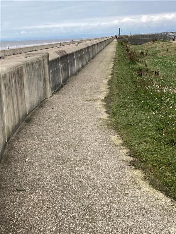 nwprobation's tweet photo. #communitypayback teams have been working hard in Fleetwood, making sure this beautiful stretch of coastline is tidy and weeds and overgrowth are well trimmed back for visitors and residents to enjoy some sea air strolls.  They can’t help with the sunshine though! https://t.co/Dn7RpApeRl