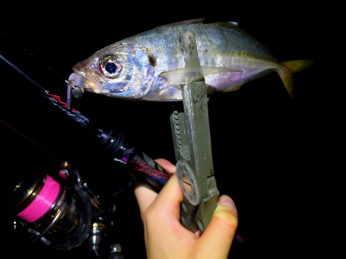 fishingkiuchi's tweet photo. 至福の時間,,

XT60RXTi ＆TFLエステル https://t.co/OsubiJw27F