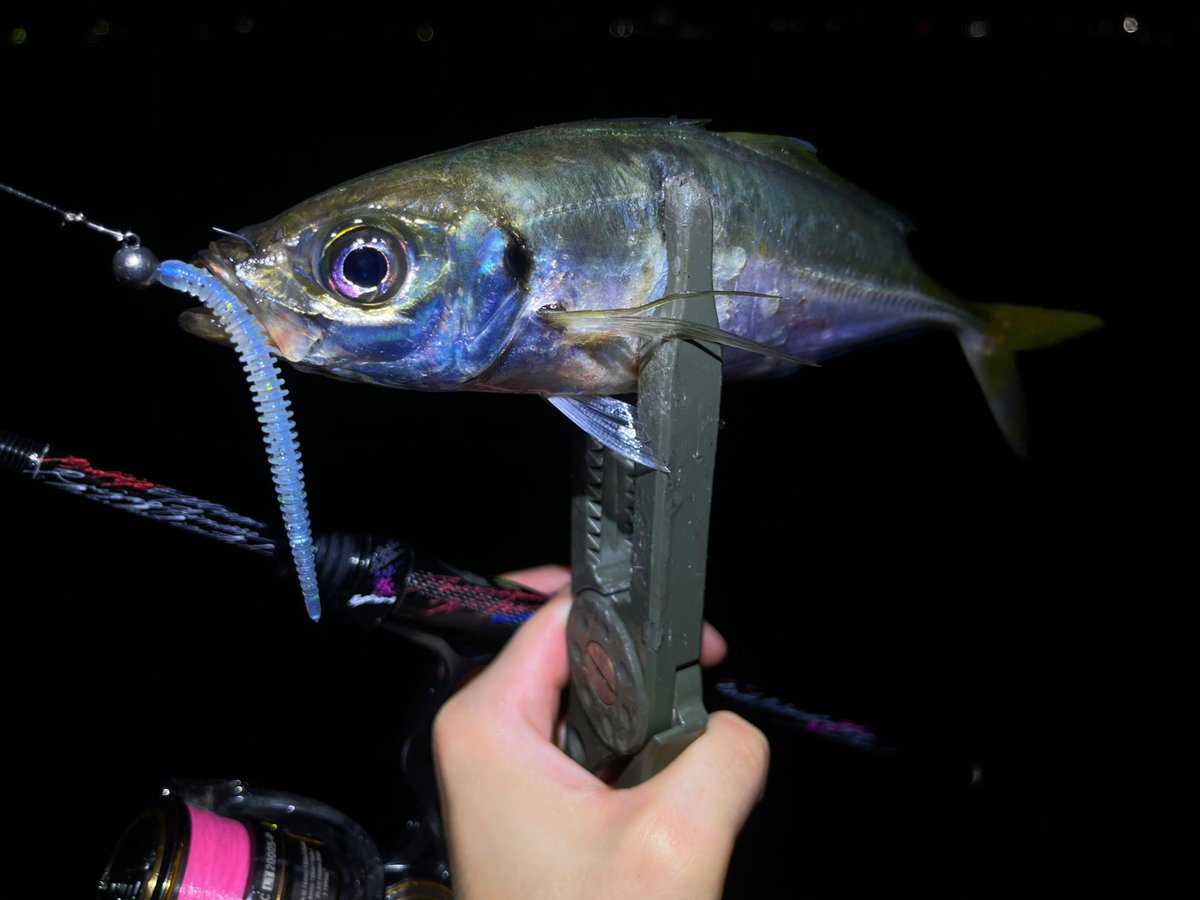 fishingkiuchi's tweet photo. 至福の時間,,

XT60RXTi ＆TFLエステル https://t.co/OsubiJw27F