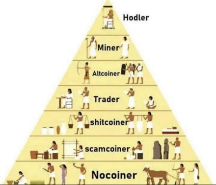 #Hodlers stay on top of the #crypto pyramid📈💰
#Bitcoin