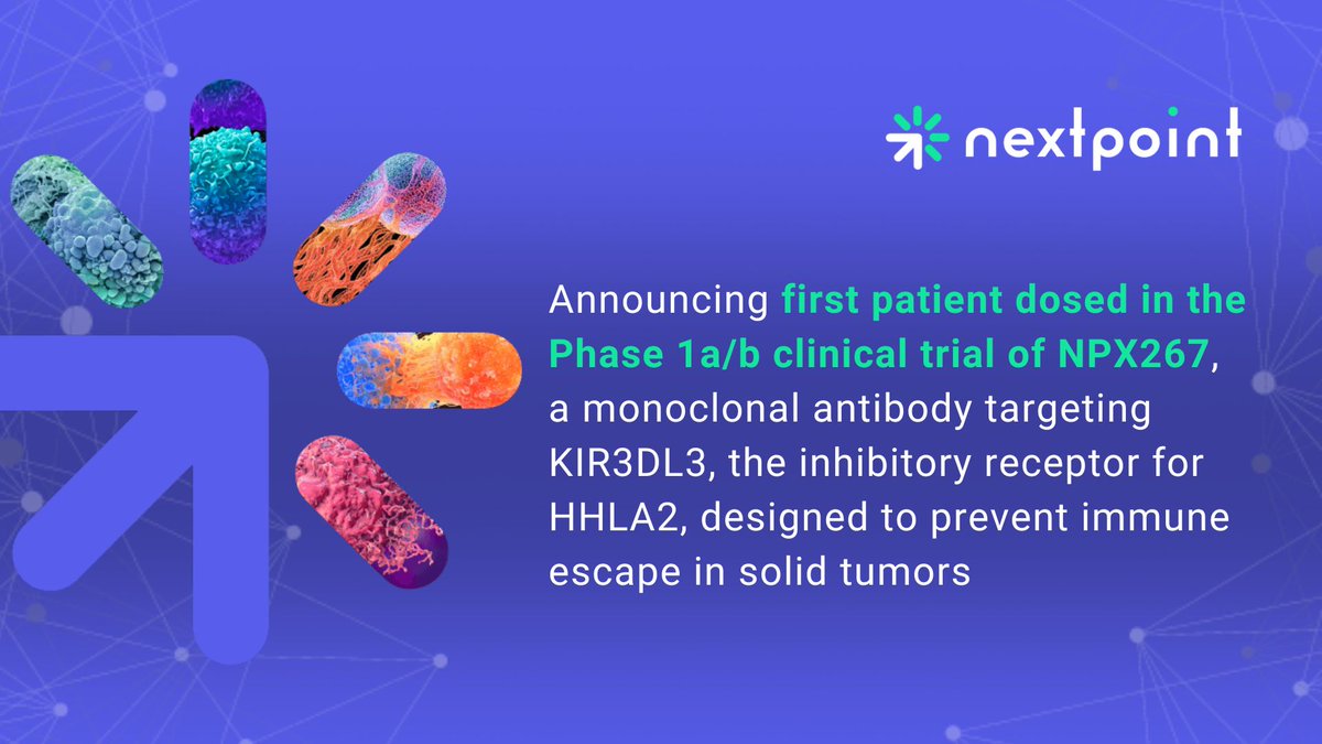 NextPointTX's tweet image. We are proud to announce first patient dosing in a Phase 1a/b trial for NPX267, a monoclonal antibody targeting KIR3DL3, the inhibitory receptor for HHLA2, designed to reverse immune suppression in solid tumors.

Read more: nextpointtx.com.
