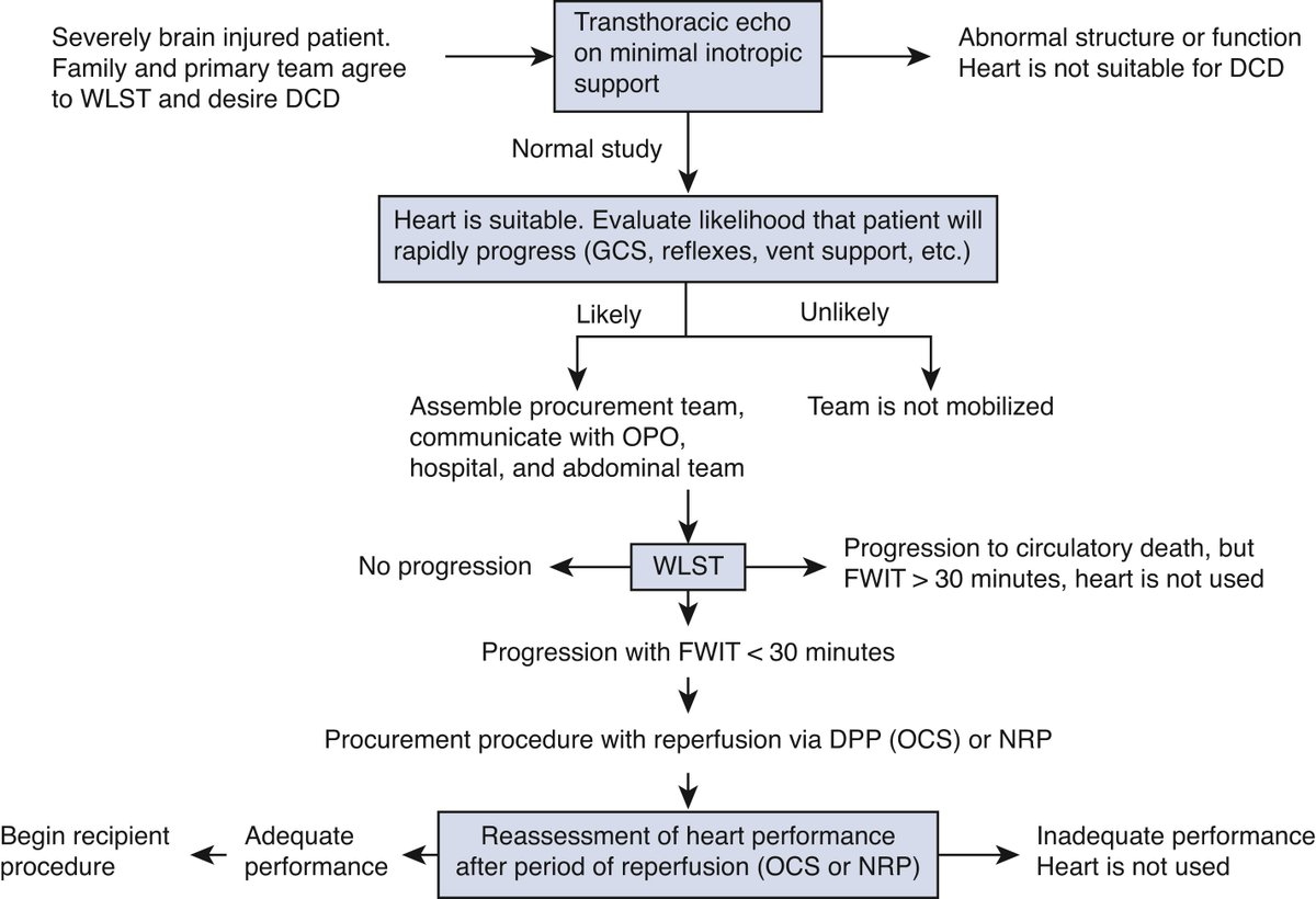 AATS Journals (@aatsjournals) on Twitter photo The AATS 2023 Expert Consensus Document: Adult cardiac Tx utilizing donors after circulatory death
Read the full #JTCVS article by Schroder, Milano et al doi.org/10.1016/j.jtcv…
<a href="/AATSHQ/">AATS</a> <a href="/JacobNiall/">Jacob Niall Schroder</a> <a href="/ScheuerSarah/">Sarah Scheuer</a> <a href="/pacman8it/">Pedro Catarino</a> <a href="/ArthurCaplan/">Arthur Caplan</a> <a href="/ssilvestryMD/">Scott Silvestry MD</a> <a href="/ValJeevanandam/">Valluvan Jeevanandam, MD</a> <a href="/AshShahMD/">Ashish Shah</a> The AATS 2023 Expert Consensus Document: Adult cardiac Tx utilizing donors after circulatory death
Read the full #JTCVS article by Schroder, Milano et al doi.org/10.1016/j.jtcv…
<a href="/AATSHQ/">AATS</a> <a href="/JacobNiall/">Jacob Niall Schroder</a> <a href="/ScheuerSarah/">Sarah Scheuer</a> <a href="/pacman8it/">Pedro Catarino</a> <a href="/ArthurCaplan/">Arthur Caplan</a> <a href="/ssilvestryMD/">Scott Silvestry MD</a> <a href="/ValJeevanandam/">Valluvan Jeevanandam, MD</a> <a href="/AshShahMD/">Ashish Shah</a>