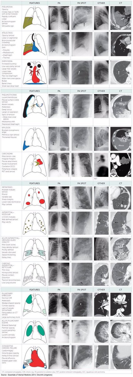 Top Biomedical Science tweet media