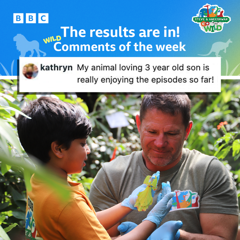 CBeebiesHQ's tweet photo. Are your kids enjoying Steve and Aneeshwar Go Wild? π¦ππ¦
#CBeebiesCommentOfTheWeek #SteveAndAneeshwarGoWild @SteveBackshall https://t.co/bj2GEFD2es