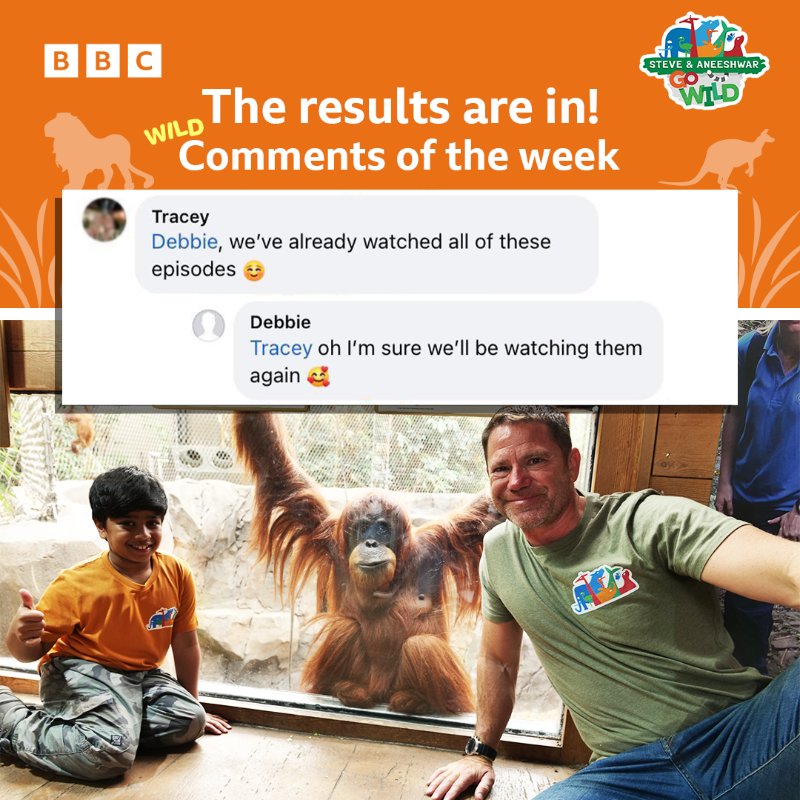 CBeebiesHQ's tweet photo. Are your kids enjoying Steve and Aneeshwar Go Wild? π¦ππ¦
#CBeebiesCommentOfTheWeek #SteveAndAneeshwarGoWild @SteveBackshall https://t.co/bj2GEFD2es