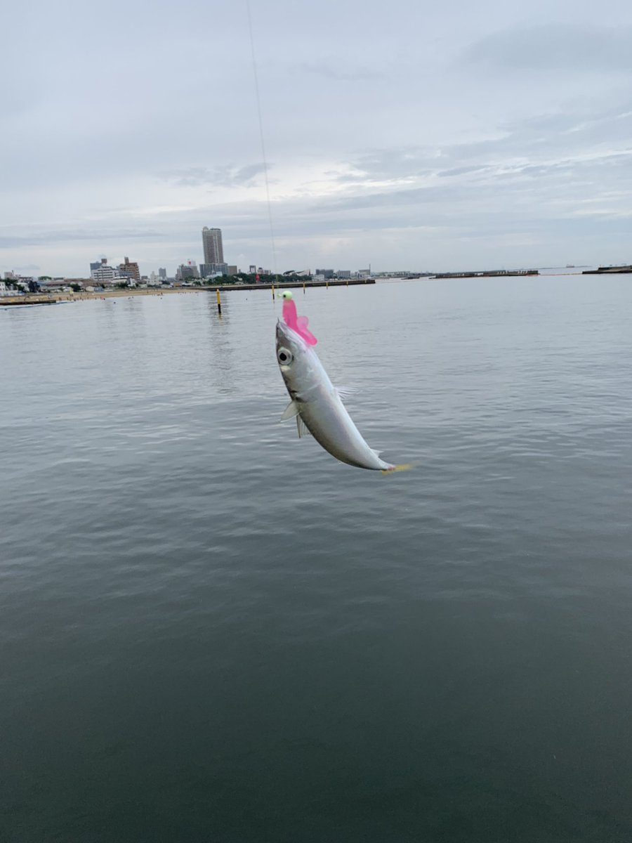 ebisu_5wakeup's tweet photo. ダイソーの釣具シリーズありがとう。お手軽コスパ最強。竿とリールとハサミだけ持って途中のダイソーでフックとワーム買って荷物最小限でお出かけできる。しかも釣れる。最高。100年後も永続している企業は、GoogleでもAppleでもMicrosoftでもなく絶対ダイソーが僕の持論☺️。 https://t.co/fS2YaTdHlh