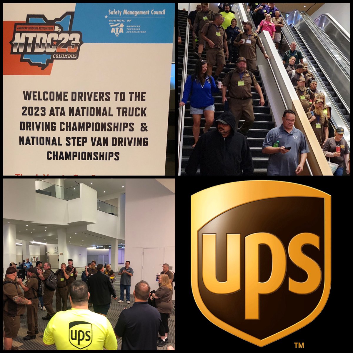 CACH Feeder tweet media