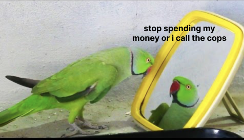 me when I see my card balance