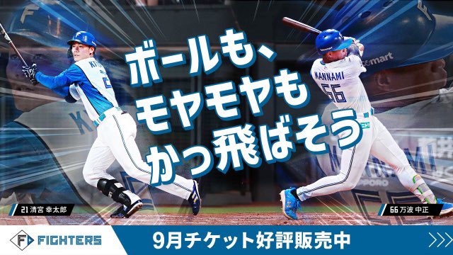 エスコンフィールド招待券（9月2日） ファイターズ チケット 招待券 2024年9月11日 エスコン 2枚 日本ハム |