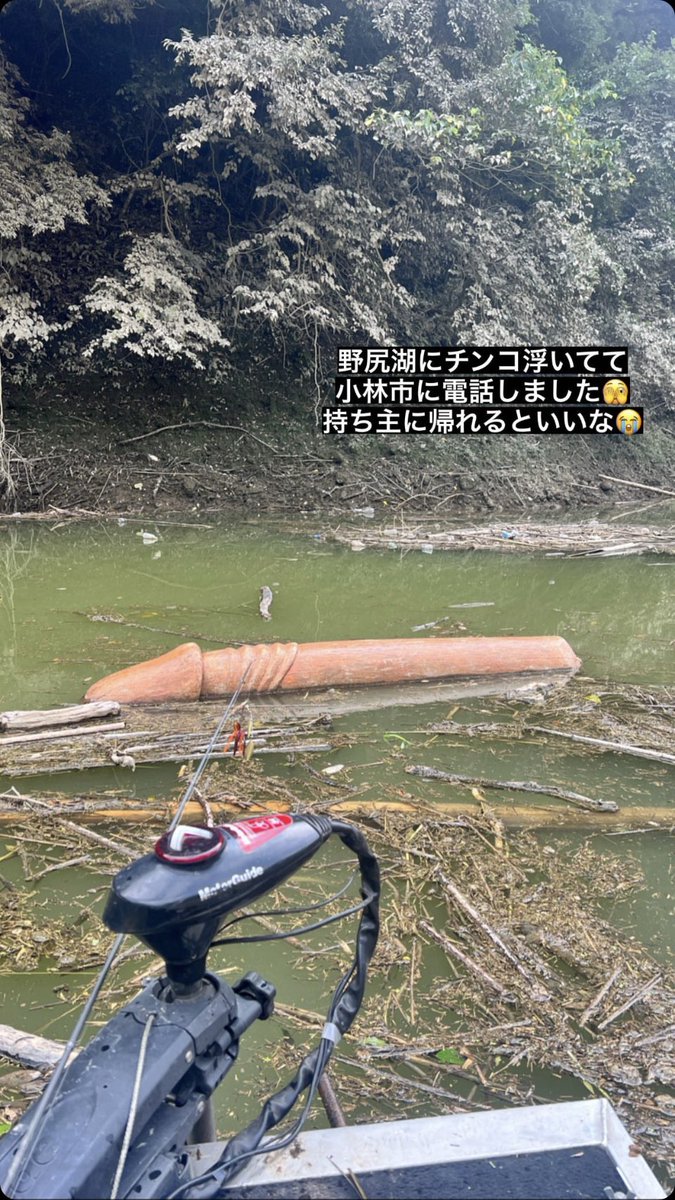 ROCKET店長 🌳 tweet media