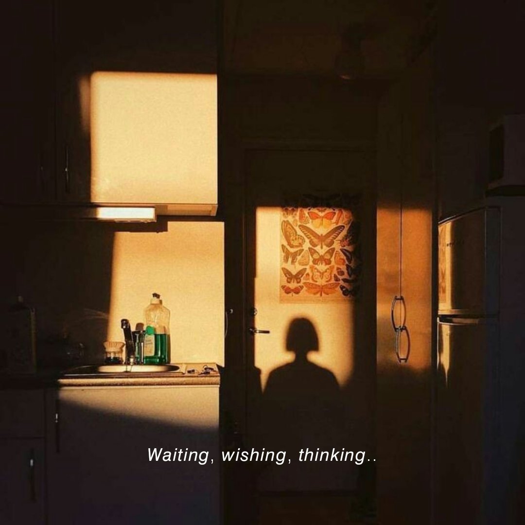 Novelle art. tweet media