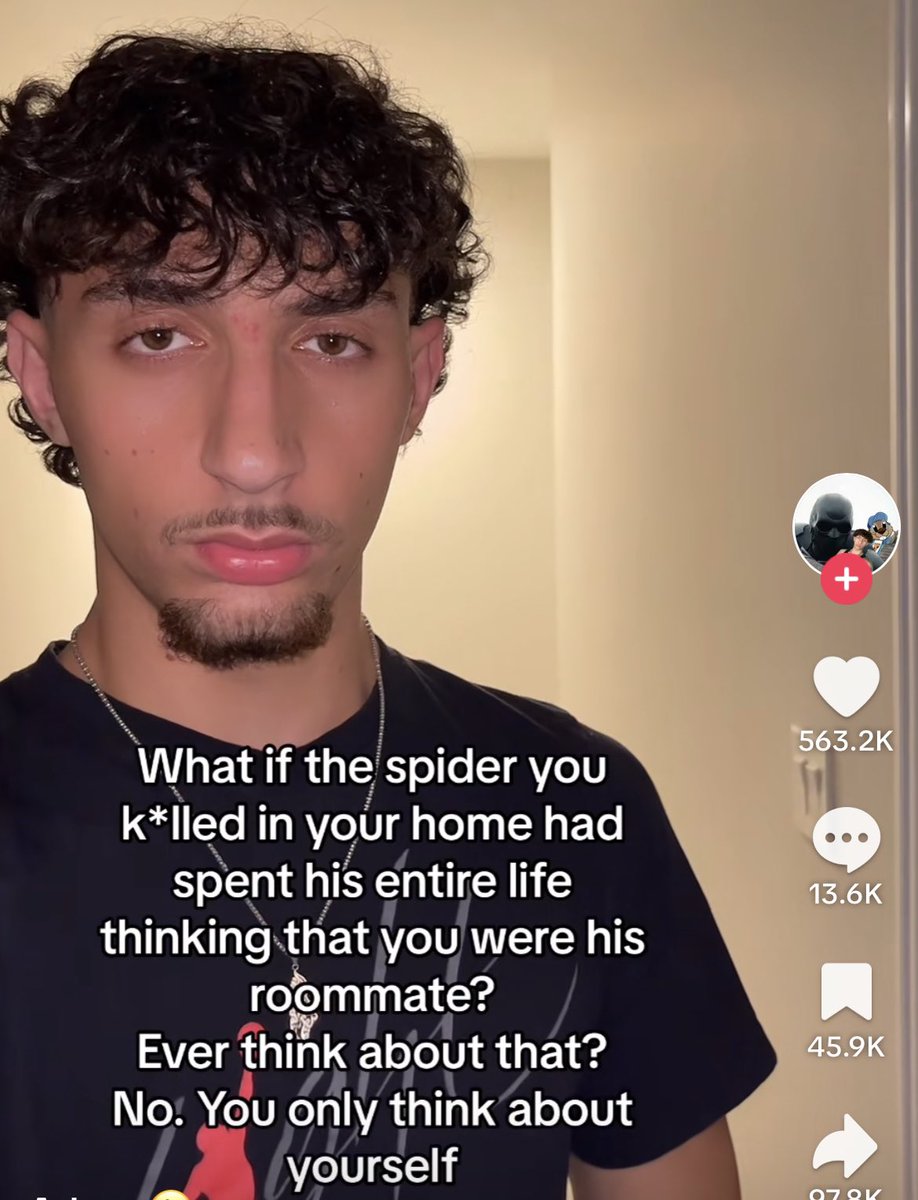 Wild TikToks (@wildtiktokss) on Twitter photo 