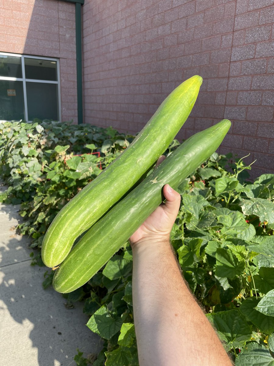 LBPS Studio & Sustainability (@lb540studio) on Twitter photo Let’s see, do you think the Compost from the GLC composter works? 🤔 <a href="/greener_glc/">GLC GREENER</a> <a href="/ElementaryGlc/">GLC Elementary</a> Let’s see, do you think the Compost from the GLC composter works? 🤔 <a href="/greener_glc/">GLC GREENER</a> <a href="/ElementaryGlc/">GLC Elementary</a>